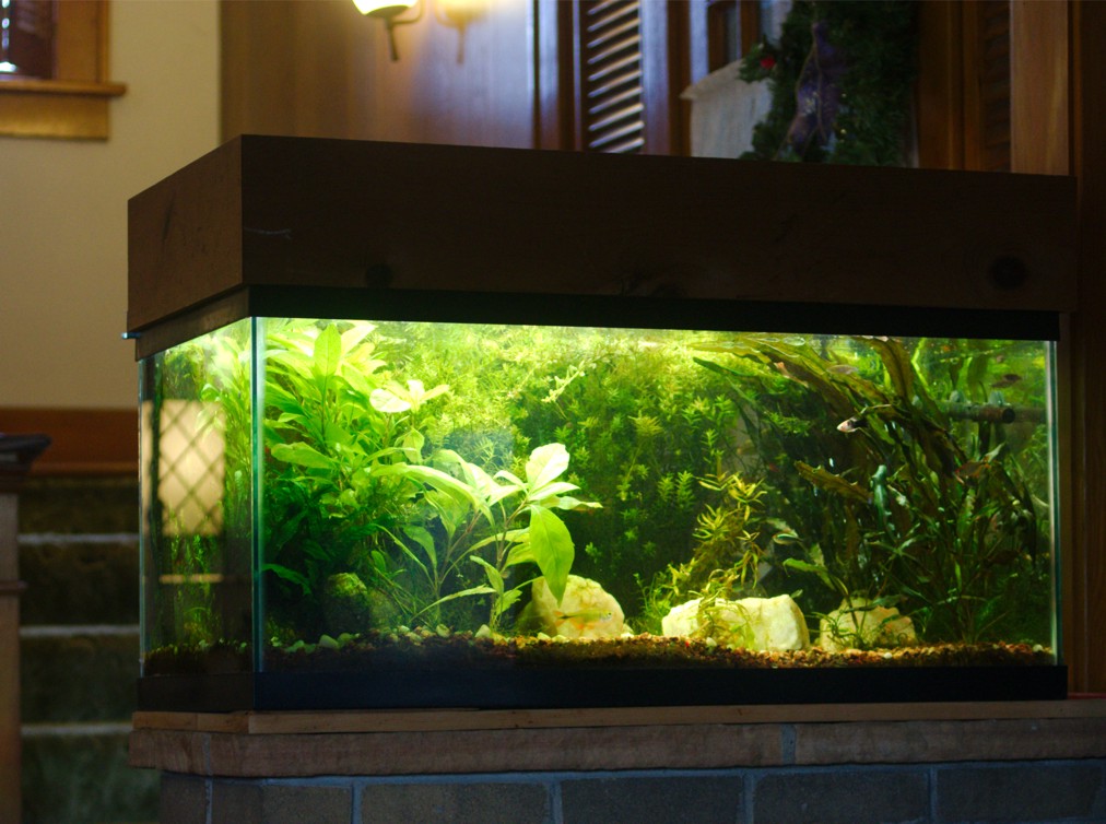 DIY LED floodlight pendant lighting The Planted Tank Forum